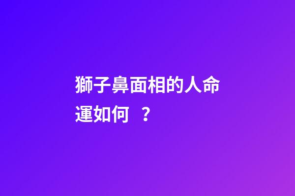 獅子鼻面相的人命運如何？